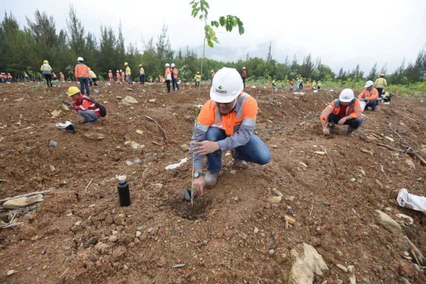 Semen Indonesia Hijaukan Lahan Pascatambang dengan Penanaman 13.424 Pohon untuk Pulihkan Ekosistem